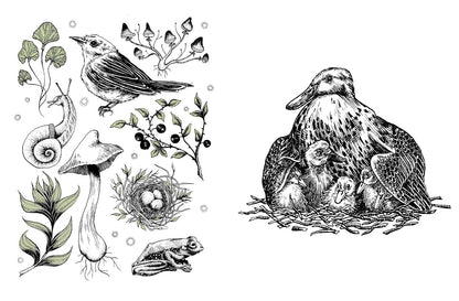 15-Minute Art: Pen and Ink-Learn to Draw with Pen and Ink in Six Steps or Less