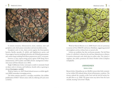 Medicinal Lichens: Indigenous Wisdom and Modern Pharmacology: Indigenous Wisdom and Modern Pharmacology by Robert Dale Rogers