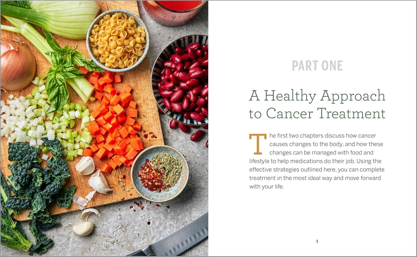 Cancer Diet for the Newly Diagnosed: An Integrative Guide and Cookbook for Treatment and Recovery: An Integrative Guide and Cookbook for Treatment and Recovery