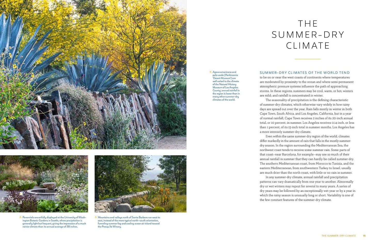 Gardening in Summer-Dry Climates: Plants for a Lush, Water-Conscious Landscape: Plants for a Lush, Water-Conscious Landscape