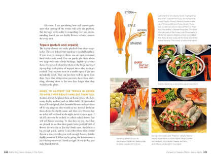 Edible Wild Plants, Volume 2: Wild Foods from Foraging to Feasting by John Kallas Phd