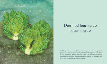 Leaving the Ocean Was a Mistake: Life Lessons from Sixty Sea Creatures: Life Lessons from Sixty Sea Creatures