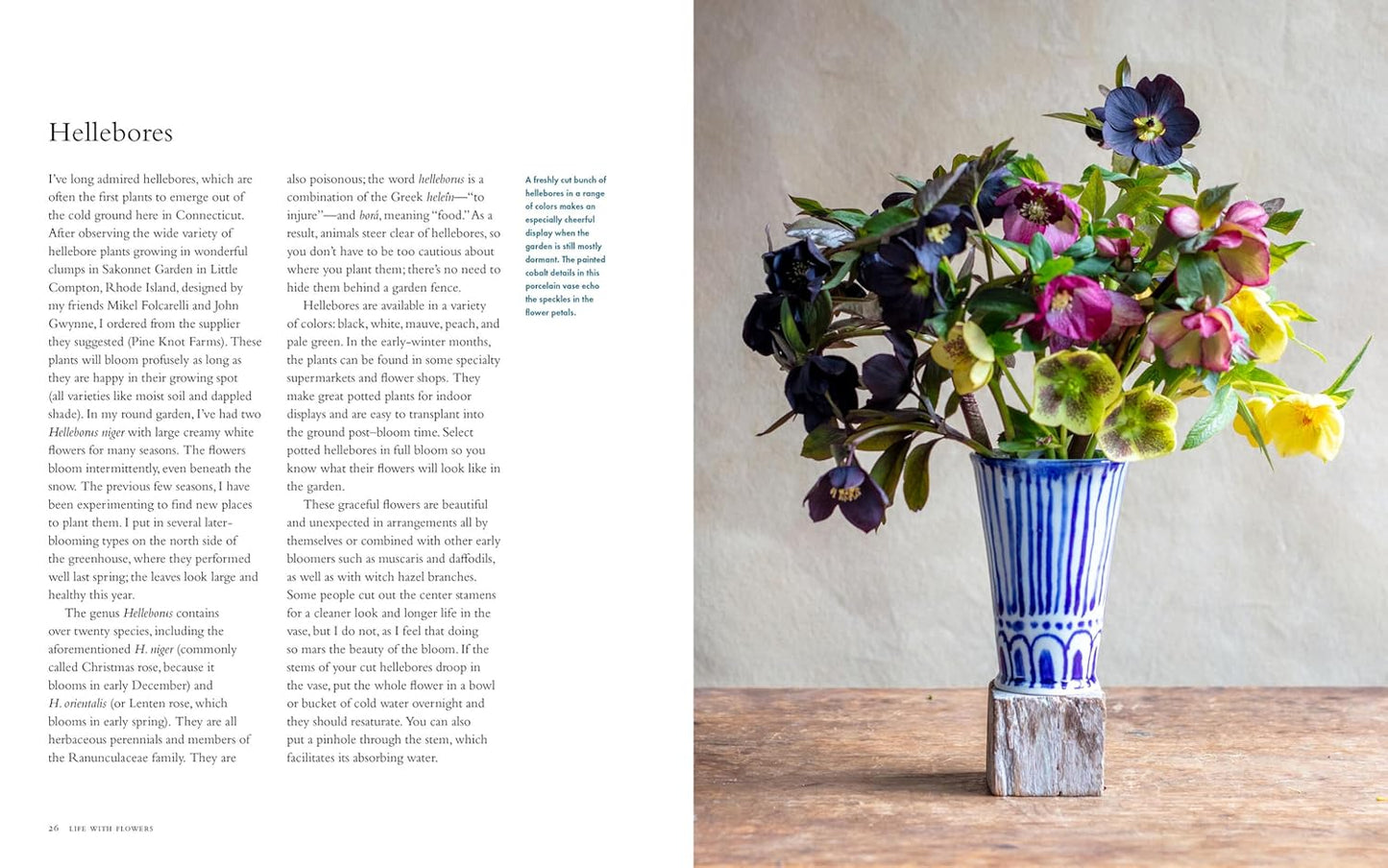 Life with Flowers: Inspiration and Lessons from the Garden: Inspiration and Lessons from the Garden