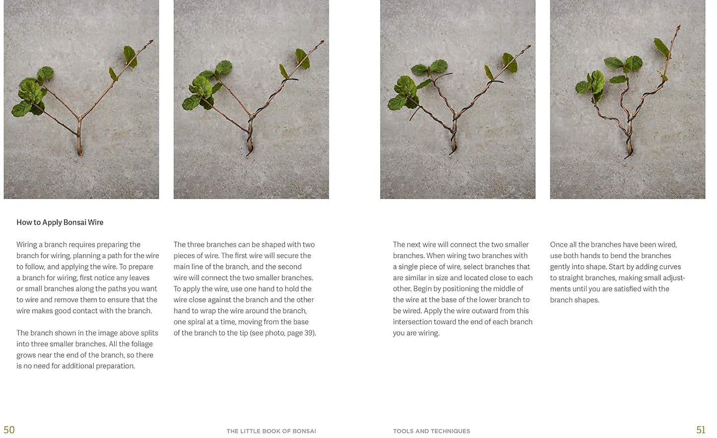 The Little Book of Bonsai: An Easy Guide to Caring for Your Bonsai Tree: An Easy Guide to Caring for Your Bonsai Tree