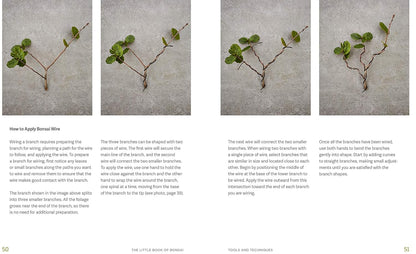 The Little Book of Bonsai: An Easy Guide to Caring for Your Bonsai Tree: An Easy Guide to Caring for Your Bonsai Tree