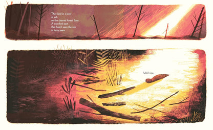 Pine Cone Regrown: How One Species Thrives After Fire by Elisa Boxer