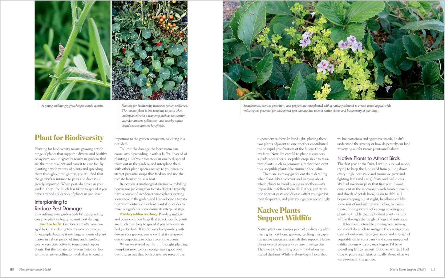 The Regenerative Gardener's Handbook: Essential Techniques for Growing a Garden That Leaves the Land Healthier Than You Found It by Briana Selstad Bosch