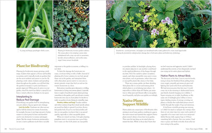 The Regenerative Gardener's Handbook: Essential Techniques for Growing a Garden That Leaves the Land Healthier Than You Found It by Briana Selstad Bosch