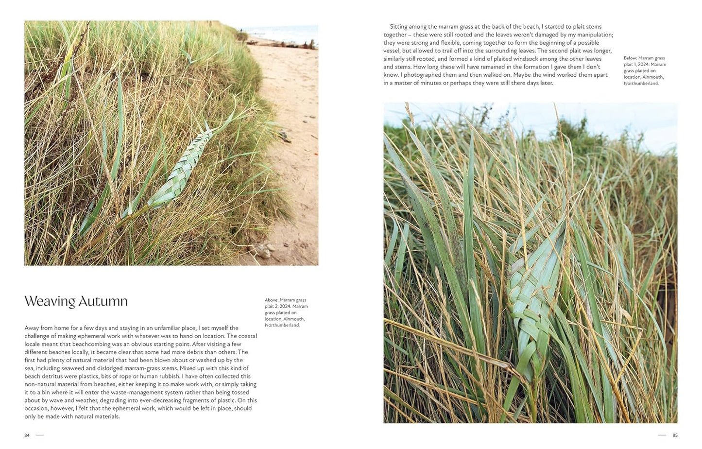 Wild Weave: Using Natural Materials to Make Beautiful Woven Textile Art by Alice Fox