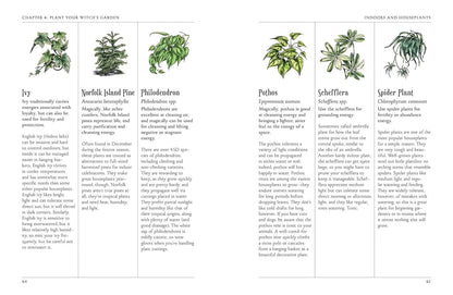 The Green Witch's Garden: Your Complete Guide to Creating and Cultivating a Magical Garden Space: Your Complete Guide to Creating and Cultivating a Magical Garden Space