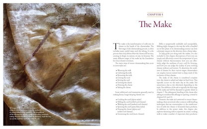 Milk Into Cheese: The Foundations of Natural Cheesemaking Using Traditional Concepts, Tools, and Techniques