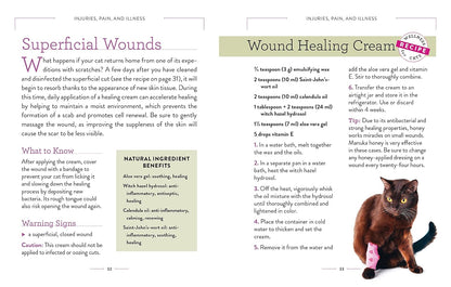 Wellness for Cats: A Guide for Health, Hygiene, and Happiness