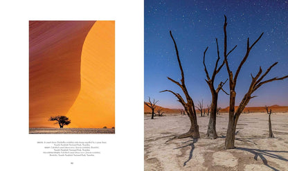 Trees: Between Earth and Heaven (Gift Edition)