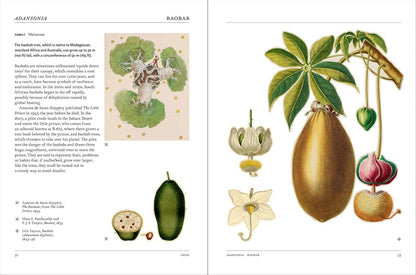 Flora: The Secret Language of Plants in Art
