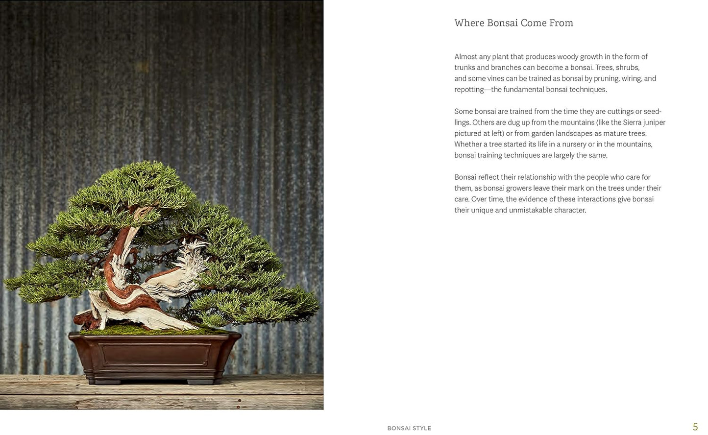 The Little Book of Bonsai: An Easy Guide to Caring for Your Bonsai Tree: An Easy Guide to Caring for Your Bonsai Tree