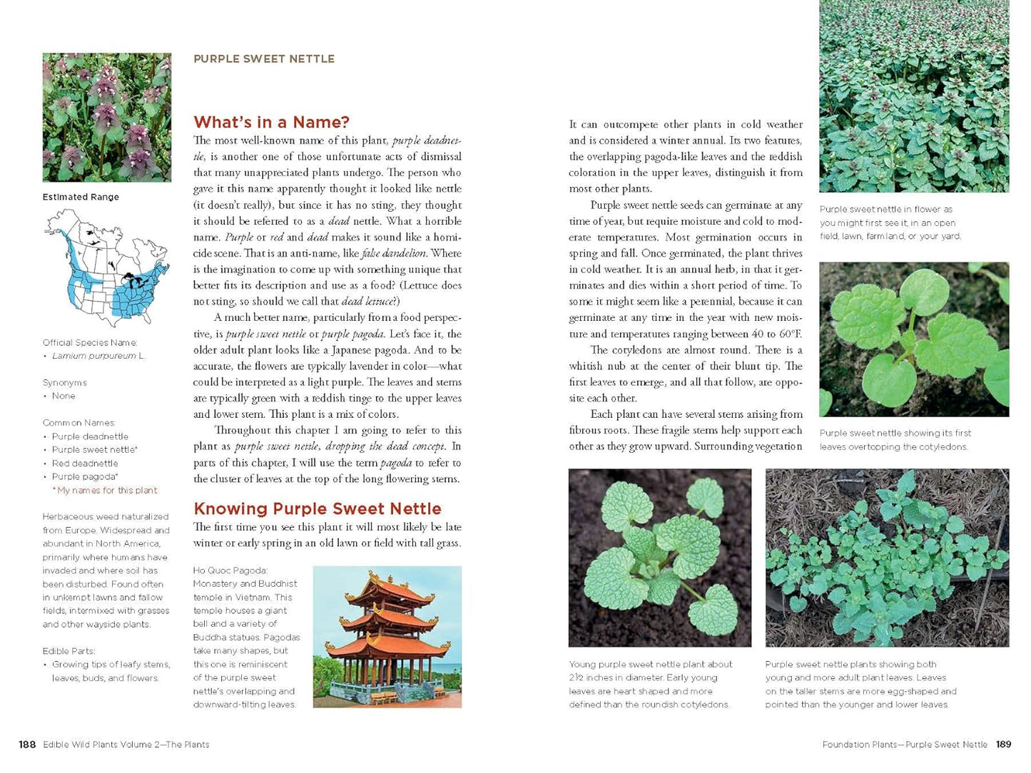 Edible Wild Plants, Volume 2: Wild Foods from Foraging to Feasting by John Kallas Phd