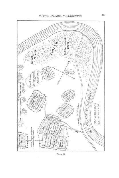 Native American Gardening: Buffalobird-Woman's Guide to Traditional Methods: Buffalobird-Woman's Guide to Traditional Methods