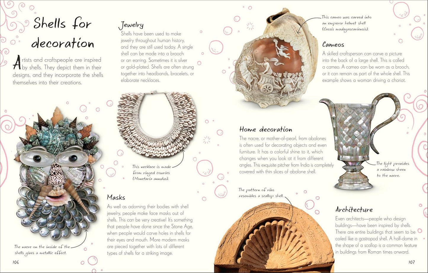 An Anthology of Shells: A Collection of Fascinating Shells from Around the World