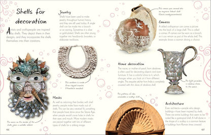 An Anthology of Shells: A Collection of Fascinating Shells from Around the World