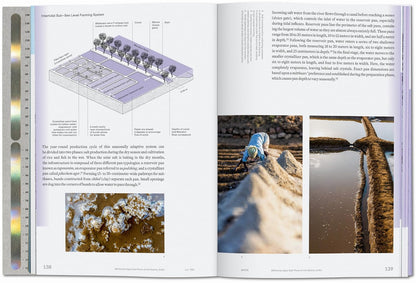 Lo--Tek Water: A Field Guide for TEKnology by Julia Watson