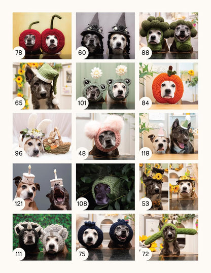 Sookie and Ivy Crochet Cute Dog Hats: Funny Snoods and Toppers to Stitch for Your Best Friend