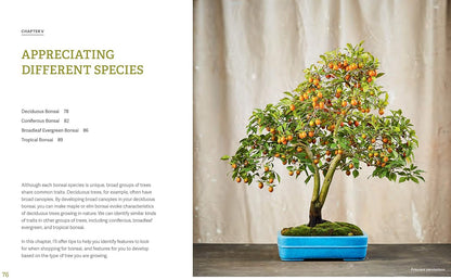 The Little Book of Bonsai: An Easy Guide to Caring for Your Bonsai Tree: An Easy Guide to Caring for Your Bonsai Tree