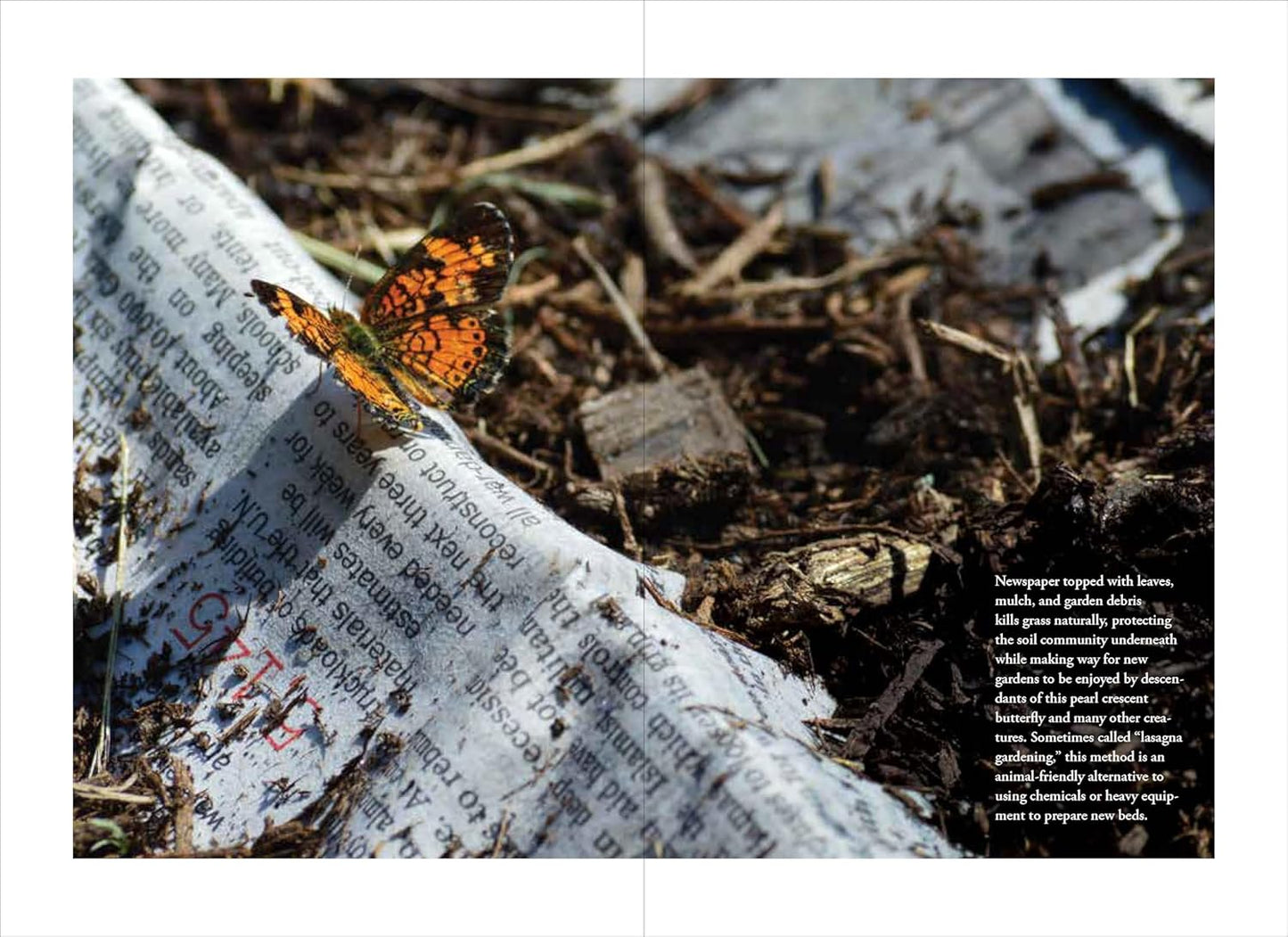 Humane Gardener: Nurturing a Backyard Habitat for Wildlife by Nancy Lawson