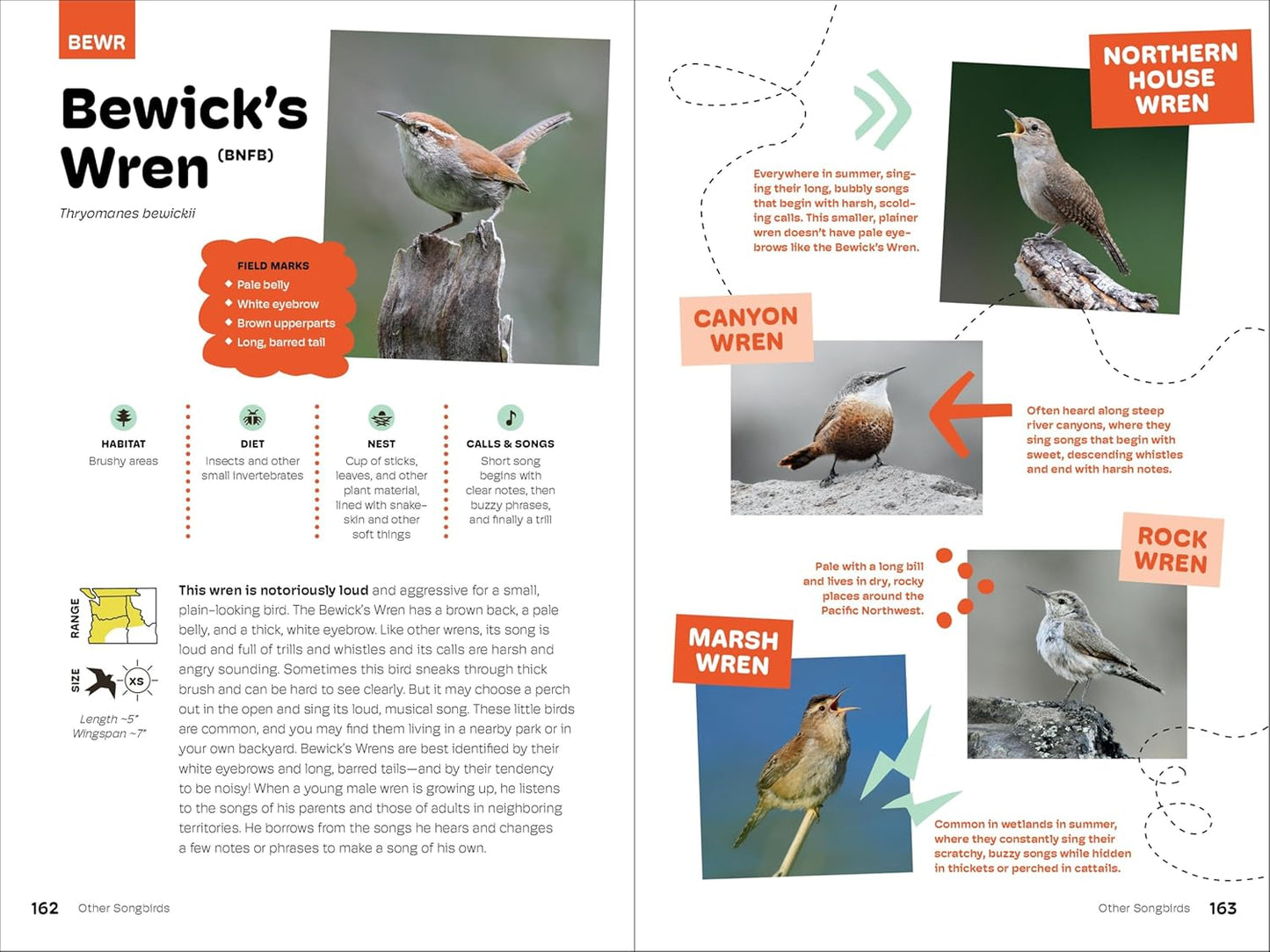 Birds of the Pacific Northwest for Kids