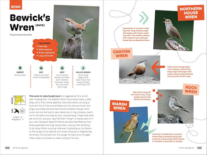 Birds of the Pacific Northwest for Kids