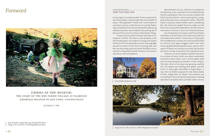 Magical Fairy Homes and Gardens