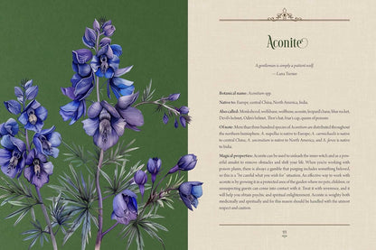 Enchanted Plants: A Treasury of Botanical Folklore and Magic by Varla A Ventura