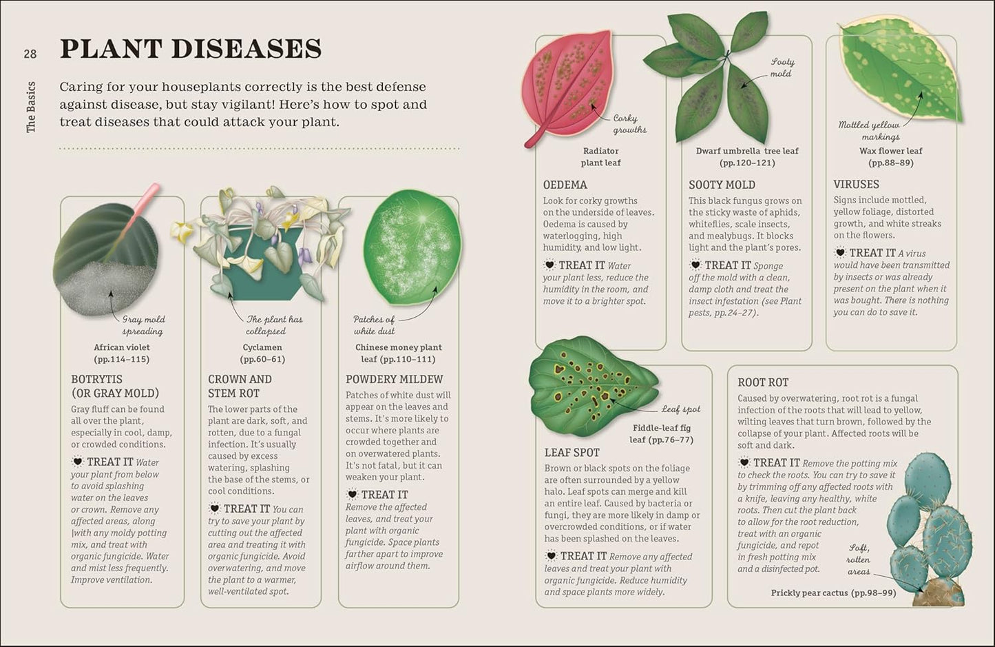 How Not to Kill Your Houseplant New Edition: Survival Tips for the Horticulturally Challenged: Survival Tips for the Horticulturally Challenged