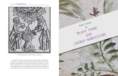 The Cunning Farmer: Agrarian Magical Practices, Mythology, and Folklore