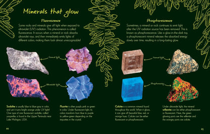 An Anthology of Rocks and Minerals: A Collection of Rocks, Minerals, and Gems from Around the World