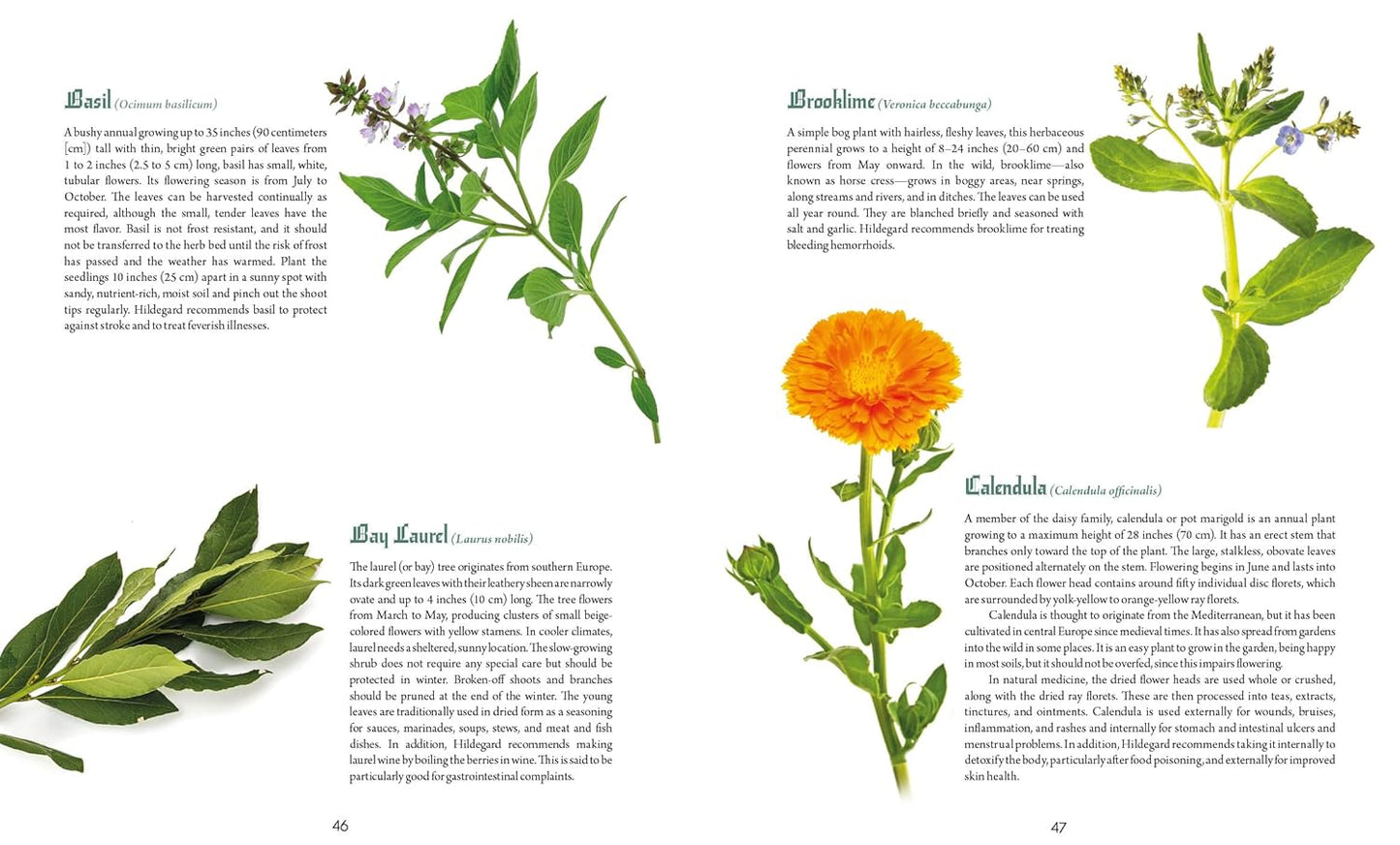 Saint Hildegard's Guide to Wellness: Herbalism, Nutrition, and Health Advice from a Trailblazing Medieval Nun: Herbalism, Nutrition, and Health Advice from a Trailblazing Medieval Nun