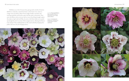 Grounded in the Garden: An Artist's Guide to Creating a Beautiful Garden in Harmony with Nature by Tj Maher