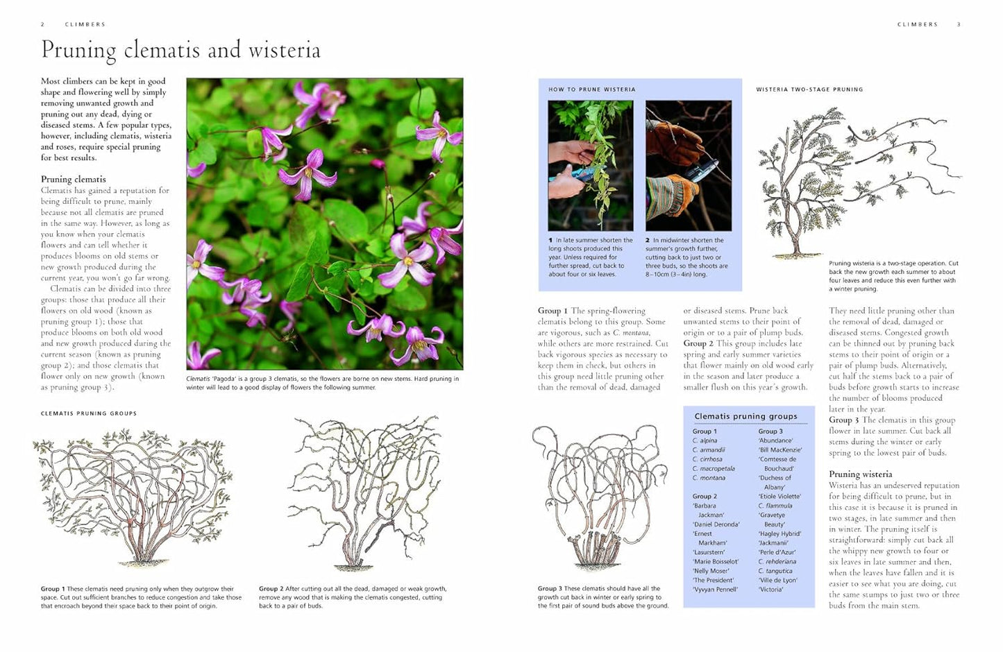 Illustrated Practical Encyclopedia of Pruning, Training and Topiary: How to Prune and Train Trees, Shrubs, Hedges, Topiary, Tree and Soft Fruit, Climb