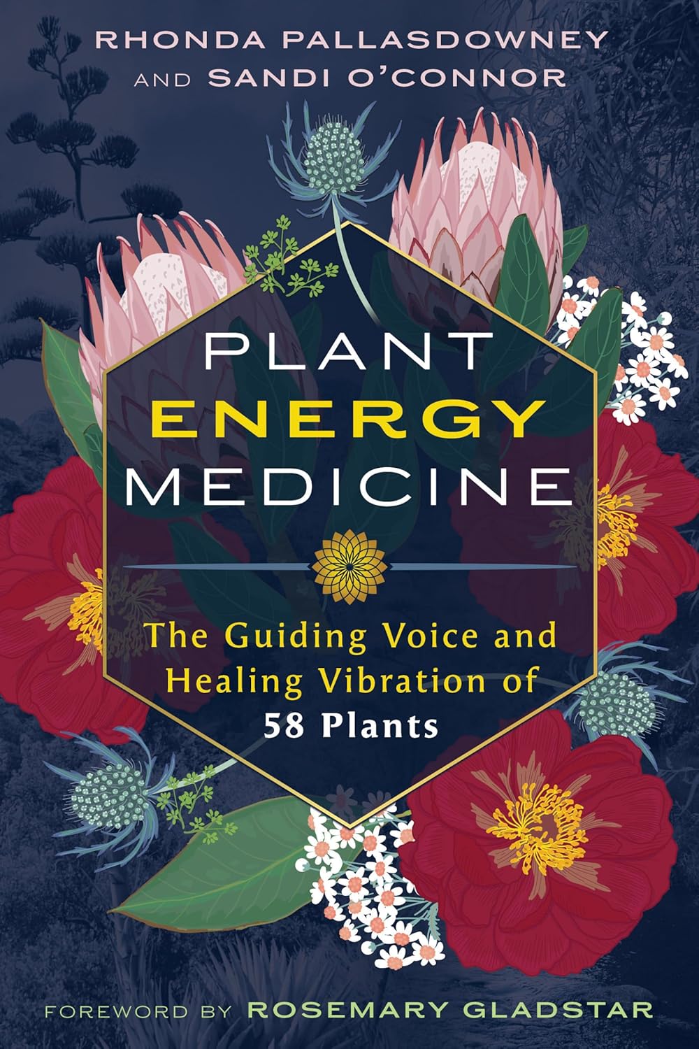 Plant Energy Medicine: The Guiding Voice and Healing Vibration of 58 Plants: The Guiding Voice and Healing Vibration of 58 Plants
