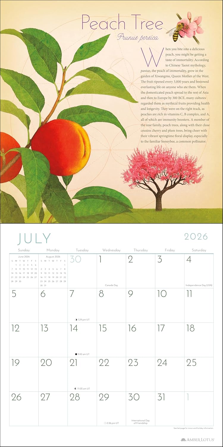 Trees of Life 2026 Wall Calendar: Celebrating the World's Sacred Species by Matt Strieby