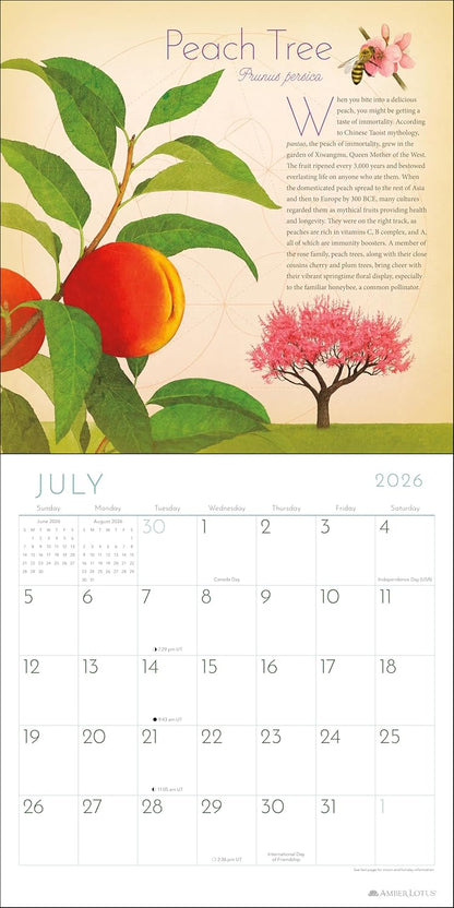 Trees of Life 2026 Wall Calendar: Celebrating the World's Sacred Species by Matt Strieby