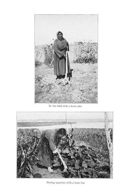 Native American Gardening: Buffalobird-Woman's Guide to Traditional Methods: Buffalobird-Woman's Guide to Traditional Methods