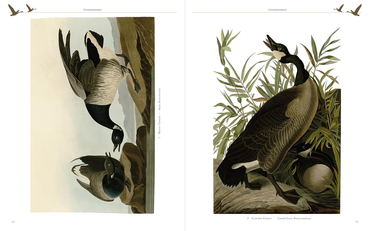 Audubon's Birds Of America (Arcturus Epic Classics)