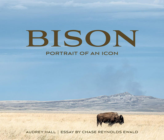 Bison: Portrait of an Icon: Portrait of an Icon