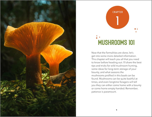 Beginner's Guide to Safely Foraging for Wild Mushrooms: Identifying and Collecting Mushrooms Sustainably with Confidence: Identifying and Collecting Mushrooms Sustainably with Confidence