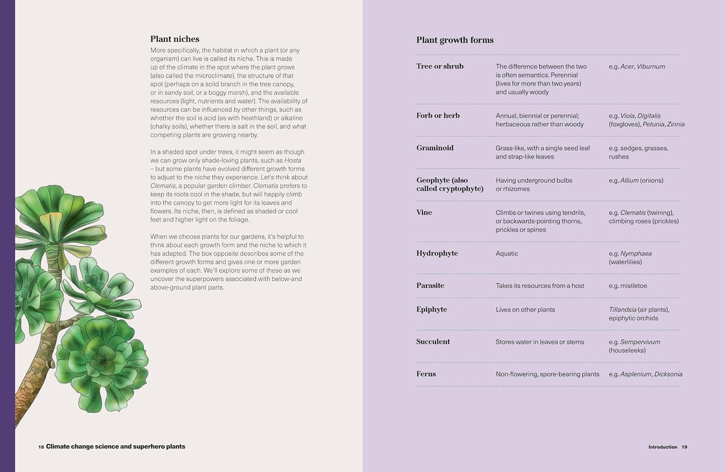 What to Grow for a Climate Resilient Garden: Practical Advice for Gardeners on Plants That Can Cope in All Climates