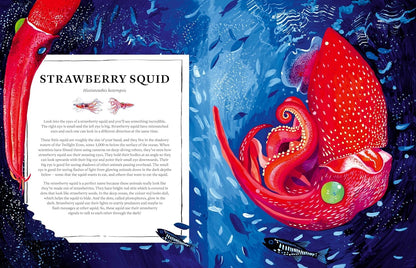 Oceanopedia: An Encyclopedia of Marine Creatures