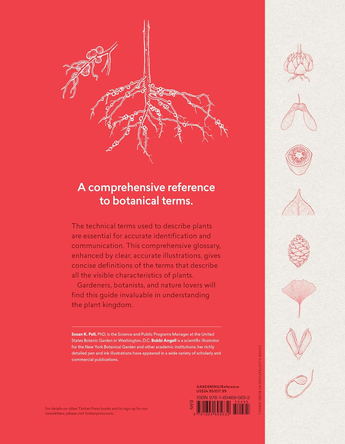 A Botanist's Vocabulary: 1300 Terms Explained and Illustrated