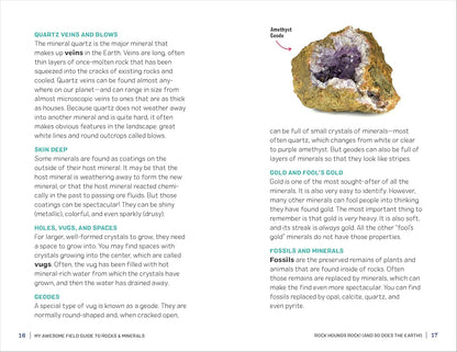 My Awesome Field Guide to Rocks and Minerals: Track and Identify Your Treasures: Track and Identify Your Treasures
