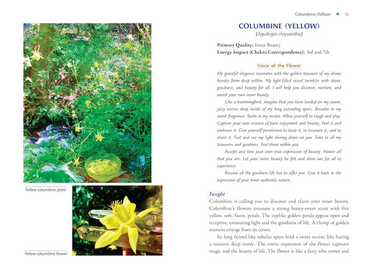 Plant Energy Medicine: The Guiding Voice and Healing Vibration of 58 Plants: The Guiding Voice and Healing Vibration of 58 Plants