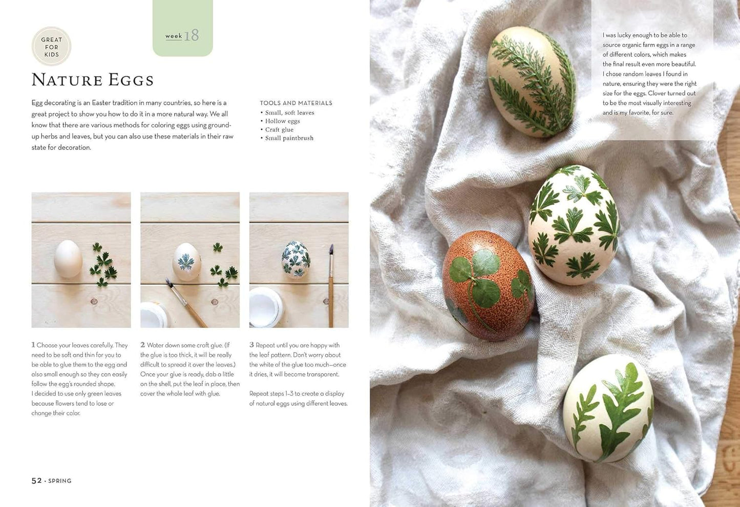 52 Nature Craft Projects: Inspiration for Every Week of the Year by Barbora Kurcova
